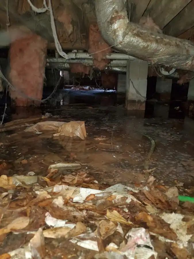 Crawl space flood assessment for Leak Detection & Repair in Wildomar